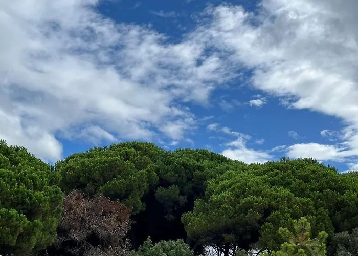 Casetta In Versilia Виареджо