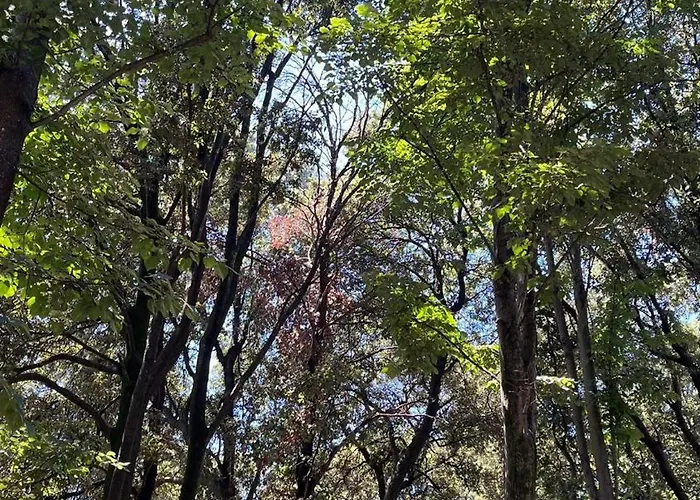 Апартаменты Casetta In Versilia *