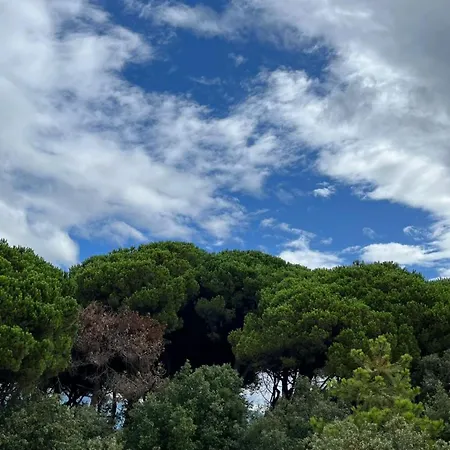 Casetta In Versilia וירג'יו